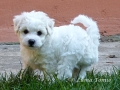 6 tdn / 6 weeks