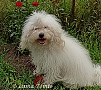2 roky / 2 years