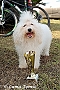 2 roky / 2 years