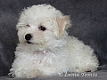 9 tdn / 9 weeks