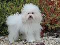 2 roky / 2 years