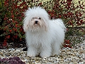 2 roky / 2 years