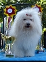 2,5 roky / 2,5 years