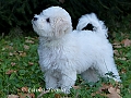Sophia / Sophia