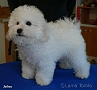 nae tata - odchovy, our puppies - litters