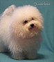 nae tata - odchovy, our puppies - litters