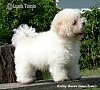 nae tata - odchovy, our puppies - litters