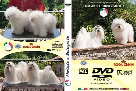 Bolognese DVD