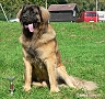 "Clif" Highlander vom Kloster Lorch - 14 m