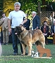 "Clif" Highlander vom Kloster Lorch - 15 m
