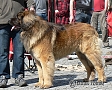 Clif - vstava Drany 4/2012