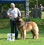 Leonberg 5/2012