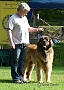 Leonberg 5/2012