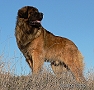 Clif 10/2012