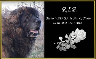 R.I.P. Zeuss